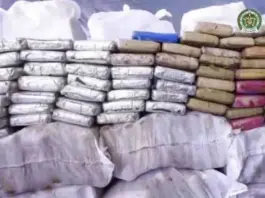 La ruta del Solimoes: interceptan 2.500 kilos de cocaína