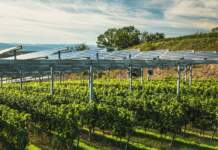 Eurecat impulsa la agrivoltaica para salvar los cultivos