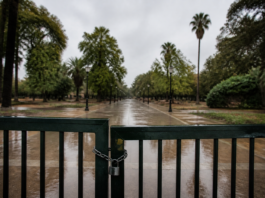 València cierra sus parques por la alerta naranja de lluvias