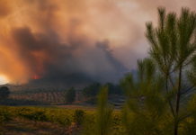 Preemergencia naranja por incendios: qué pasa en Utiel