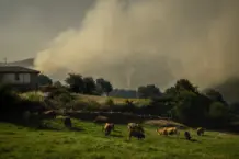 Galicia prueba vallados virtuales GPS para frenar incendios