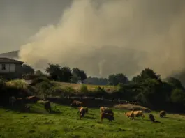 Galicia prueba vallados virtuales GPS para frenar incendios