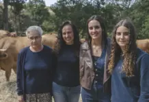 Vacas con GPS en Muíños: la solución gallega contra incendios