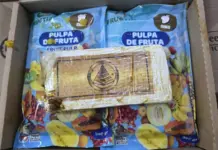 Detenido tras ocultar 150 kilos de cocaína en pulpa de fruta