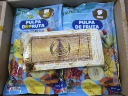 Detenido tras ocultar 150 kilos de cocaína en pulpa de fruta