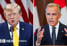 Las armas económicas de Canadá para golpear a Trump y EE.UU.