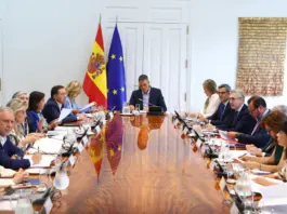 España reforma asilo y extranjería en plena crisis migratoria