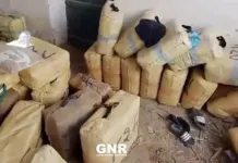Golpe al narcotráfico en el Guadiana: 5.320 kilos de hachís