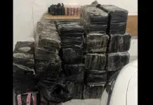 Dos narcos vigilados y un coche robado destapan 529 kilos