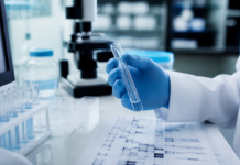 Así funcionan los circuitos genéticos en la salud y la enfermedad