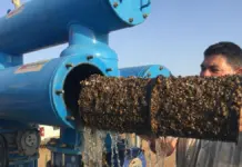 Así combaten agricultores y científicos las especies invasoras