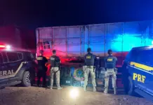 El golpe en Brasil: 1.000 kilos de cocaína ocultos en maíz