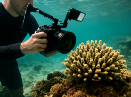 La tecnología ayuda a salvar los océanos: fotografiando corales para su reproducción