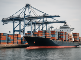 Retroceso en conectividad de puertos europeos: ¡Alerta de Puertos del Estado!