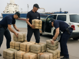 Rescatadores de cocaína operan en puerto de Valencia