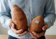 Batatas personalizadas con tecnología innovadora