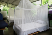 Quindío entrega toldillos en albergues contra dengue y malaria