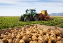 Castilla y León destaca la innovación de Patatas Meléndez