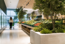 Mercadona estrena en Madrid la Tienda 9 que ahorra agua