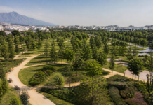 Así será el nuevo parque verde de Estepona: 300 árboles