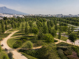 Así será el nuevo parque verde de Estepona: 300 árboles