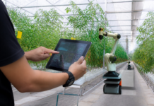 Qué tecnología necesita de verdad el sector hortícola