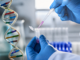 Así funcionan los circuitos genéticos en la salud y la enfermedad