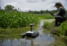 Tecnologías a medida frenan el avance de las especies invasoras