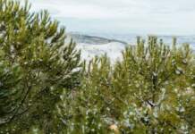 Frontogénesis devuelve el invierno a España hoy Frontogénesis devuelve el invierno a España hoy image