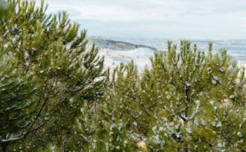 Frontogénesis devuelve el invierno a España hoy image