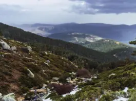 Los santos del hielo y el giro frío que te espera Los santos del hielo y el giro frío que te espera image