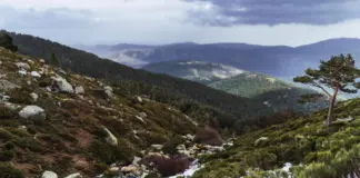 Los santos del hielo y el giro frío que te espera image