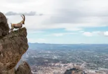 Cinco dias de tensión en el Ibex y el mercado Cinco dias de tensión en el Ibex y el mercado image