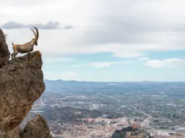 Cinco dias de tensión en el Ibex y el mercado Cinco dias de tensión en el Ibex y el mercado image