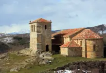 Alzira queda marcada por un temporal de viento devastador Alzira queda marcada por un temporal de viento devastador image