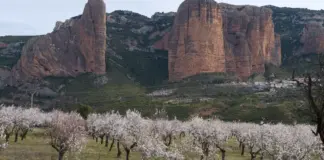 Incendio grave en Huesca permite volver a siete pueblos image