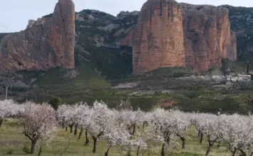 Incendio grave en Huesca permite volver a siete pueblos image