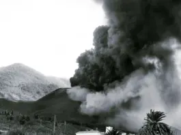 Telde se blinda ante el incendio en la cumbre image