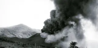 Telde se blinda ante el incendio en la cumbre image