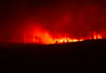 Incendio en Las Hurdes qué pasó y cómo sigue la zona Incendio en Las Hurdes qué pasó y cómo sigue la zona image