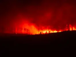 Incendio en Las Hurdes qué pasó y cómo sigue la zona Incendio en Las Hurdes qué pasó y cómo sigue la zona image