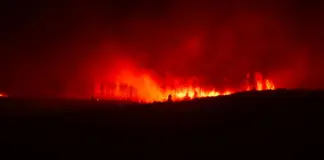 Incendio en Las Hurdes qué pasó y cómo sigue la zona image