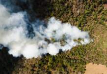 Incendi hoy en España y Catalunya lo que debes saber image