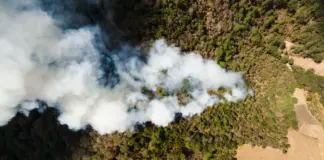 Incendi hoy en España y Catalunya lo que debes saber image
