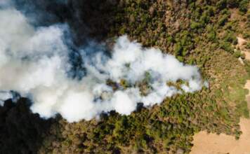 Incendi hoy en España y Catalunya lo que debes saber image