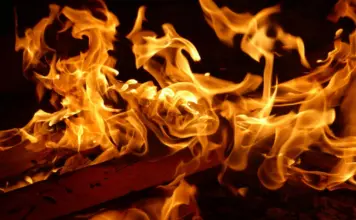 Climate change alimenta los incendios en Georgia image