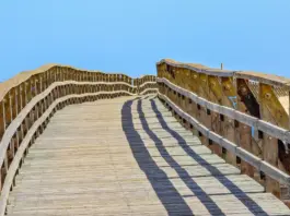 Isla Cristina deja un caso que sacude Huelva image