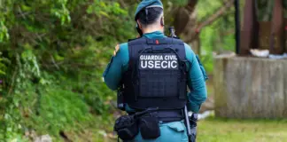 leon suelto toledo Qué se sabe del operativo de búsqueda image