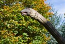 Extinción de dinosaurios y el meteorito más raro Extinción de dinosaurios y el meteorito más raro image