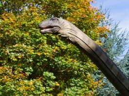 Extinción de dinosaurios y el meteorito más raro Extinción de dinosaurios y el meteorito más raro image